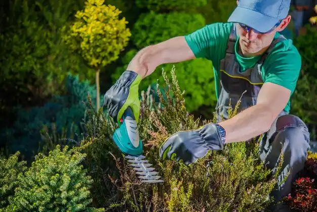 landscaping services Epps